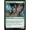 Wirewood Symbiote (foil)
