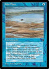 Tidal Flats (Alexander - Lake)