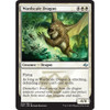 Wardscale Dragon