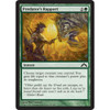 Predators Rapport