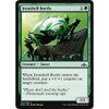 Ironshell Beetle (foil)
