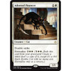 Adorned Pouncer