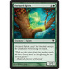 Orchard Spirit
