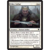 Elder Cathar (foil)