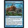 Polymorphous Rush