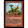 Fledgling Dragon