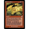 Firecat Blitz (foil) | Judgment