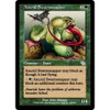 Anurid Swarmsnapper (foil)