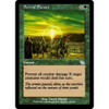 Serene Sunset (foil)
