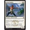 Jeskai Student (foil)