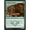 Tuskguard Captain (foil)