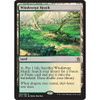 Windswept Heath (foil) | Khans of Tarkir