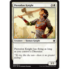 Pterodon Knight (foil) | Ixalan