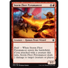 Storm Fleet Pyromancer (foil) | Ixalan