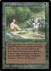 Sylvan Paradise