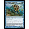 Turtleshell Changeling