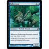 Fallowsage  (foil)