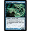 Streambed Aquitects (foil)