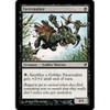 Facevaulter  (foil)