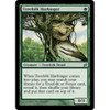 Treefolk Harbinger (foil)