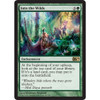Into the Wilds (foil)