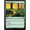 Tranquil Thicket (foil) | Modern Horizons