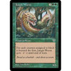 Jungle Wurm