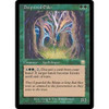Deepwood Elder