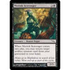Moriok Scavenger