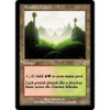 Mossfire Valley (foil)