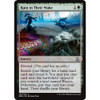 Ruin in Their Wake
