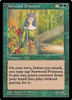 Norwood Priestess