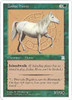 Zodiac Horse