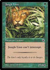 Jungle Lion