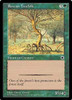 Rowan Treefolk