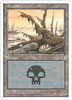 Swamp (#172)