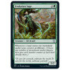Evolution Sage