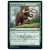 Mammoth Growth