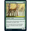 Sylvan Brushstrider