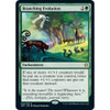 Branching Evolution
