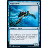 Aegis Turtle