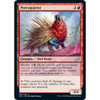 Porcuparrot