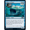 Waker of Waves
