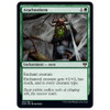 Arachnoform