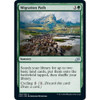 Migration Path