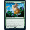 Colossification (foil)