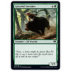 Grizzled Outrider (foil)