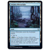 Littjara Mirrorlake (foil)
