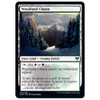 Woodland Chasm (foil) | Kaldheim