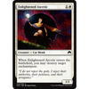 Enlightened Ascetic (foil)